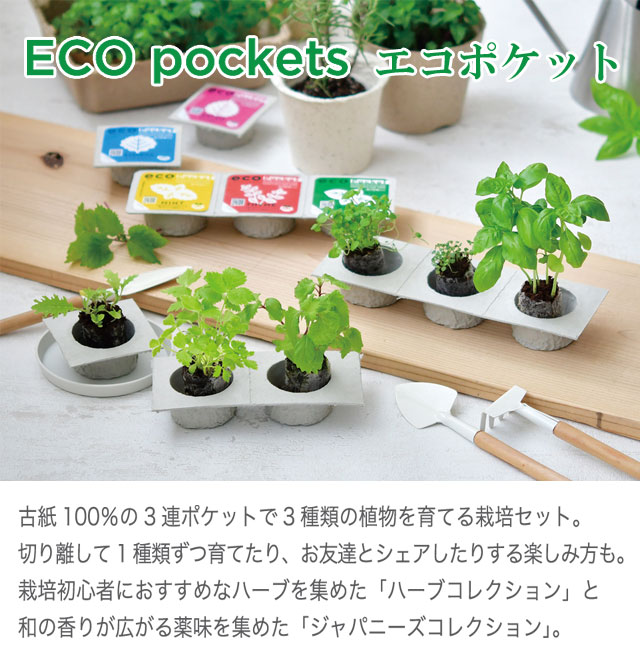 ECO pockets エコポケット 001