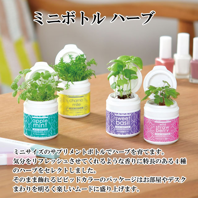 栽培キット MINI BOTTLE HERBS ミニボトル ハーブ かわいい 栽培セット ハーブ アップルミント バジル ワイルドストロベリー  カモミール おしゃれ 家庭菜園