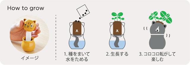 コロコロキャット 栽培セット 002