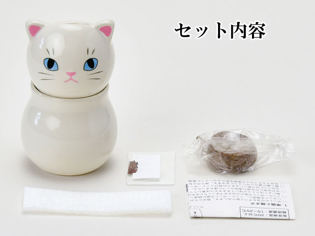 コロコロキャット 栽培セット 003