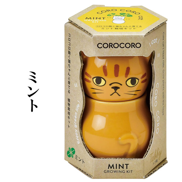 コロコロキャット 栽培セット 020