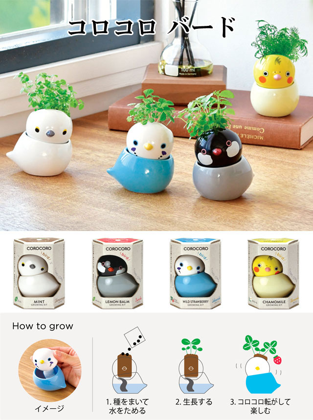 COROCORO bird  コロコロ バード 栽培セット 001