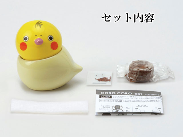 COROCORO bird  コロコロ バード 栽培セット 002