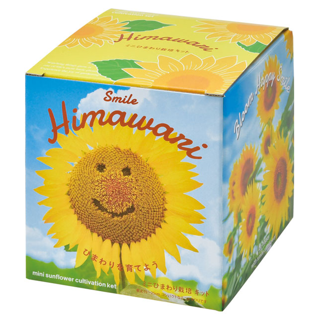 Bloom small Himawari ミニヒマワリ栽培セット 021