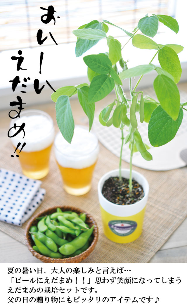 育てるえだ豆栽培セット 101