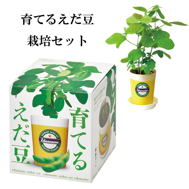 育てるえだ豆栽培セット 110