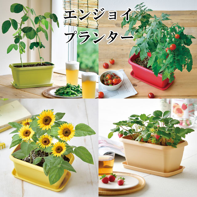 エンジョイプランター 013