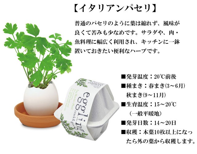 eggling eco friendly エッグリング エコフレンドリー 030