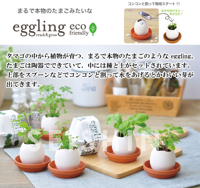 栽培キット eggling eco friendly エッグリング エコフレンドリー