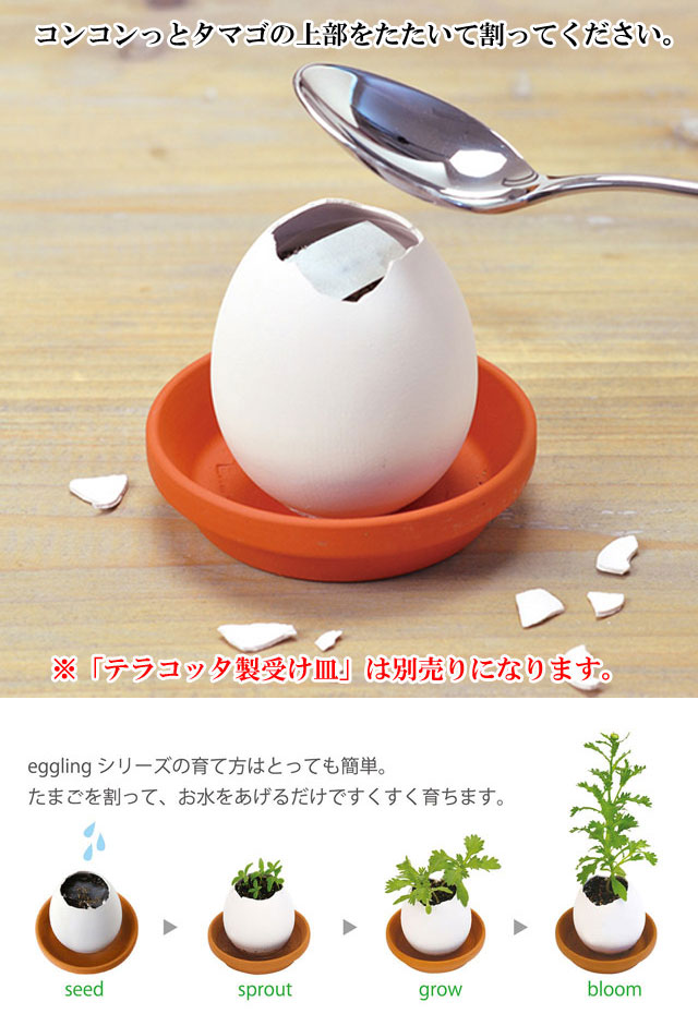 eggling eco friendly エッグリング エコフレンドリー 102