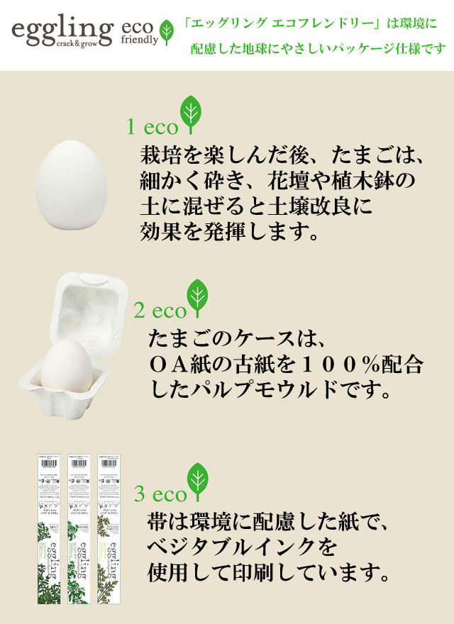 eggling eco friendly エッグリング エコフレンドリー 103