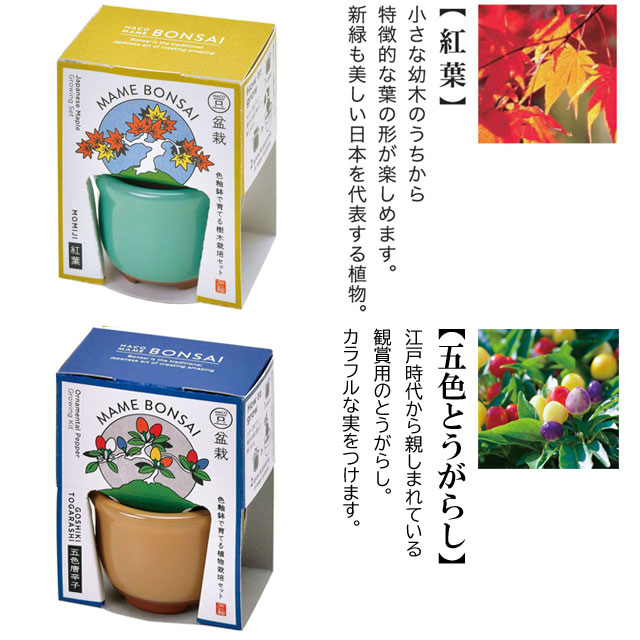 もみ消し　4枚 000000010552_kY1PlIA.jpg