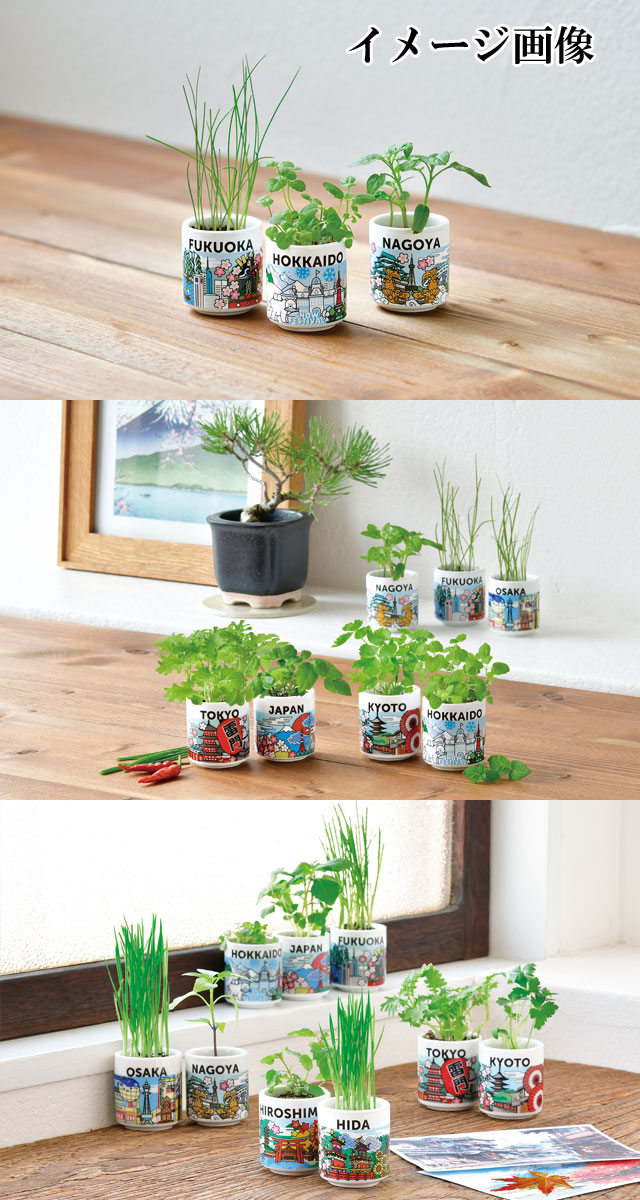 栽培キット お芽でたおちょこ JAPAN しそ わさび菜 三つ葉 ねぎ 薄荷