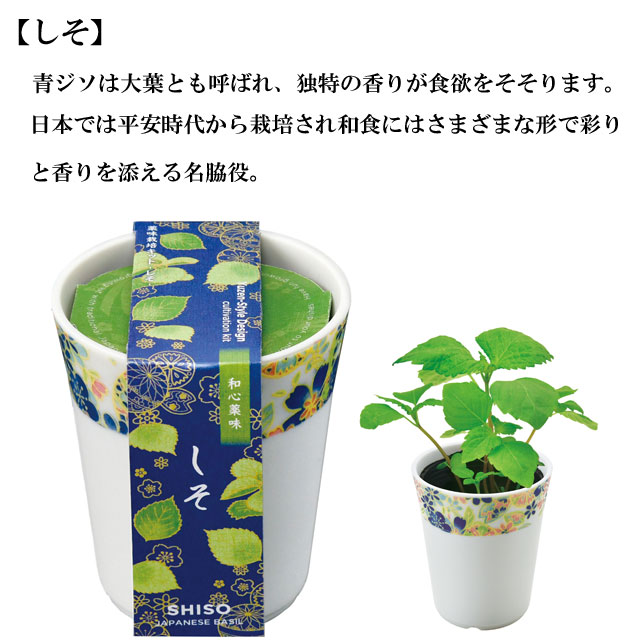 栽培セット 和心薬味 020