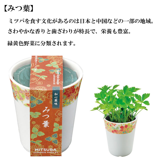 栽培セット 和心薬味 040
