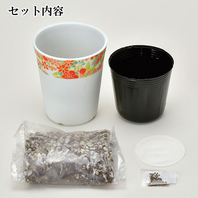 栽培セット 和心薬味 050