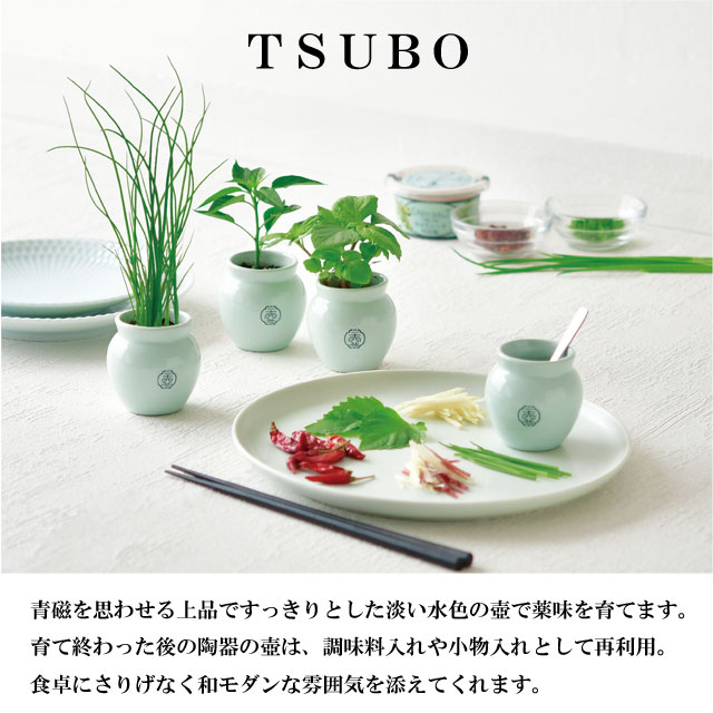 栽培キット TSUBO しそ 唐辛子 ねぎ 栽培セット 壺 種 野菜 とうがらし