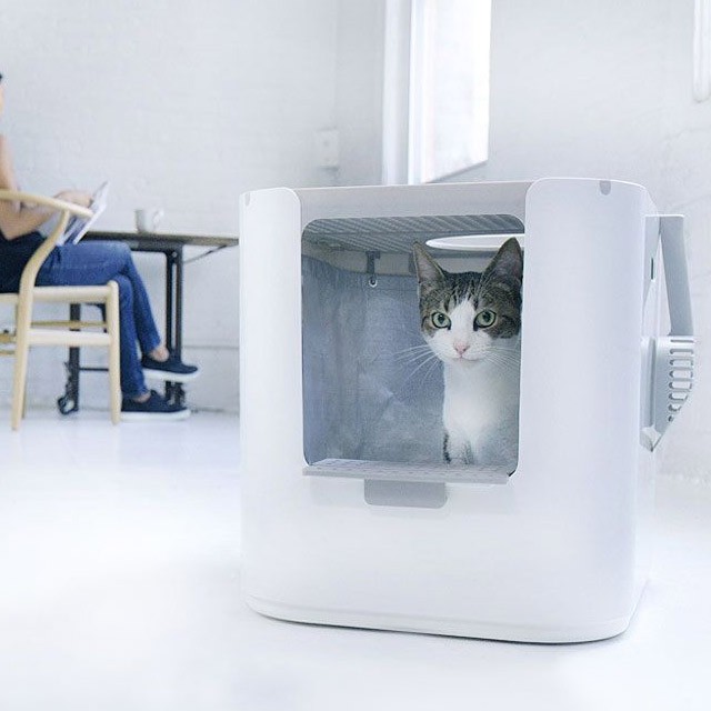 モデキャットXLリターボックス modkat XL litterbox XL103 前面と天井