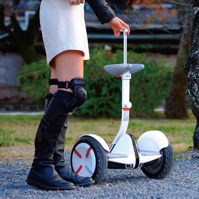 Segway Ninebot S-Pro ナインボットエスプロ By Segway セグウェイ