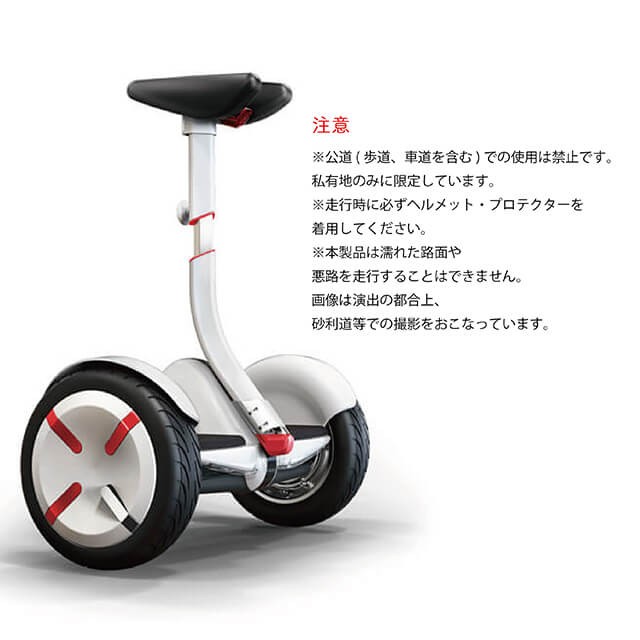 Segway Ninebot S-Pro ナインボットエスプロ By Segway セグウェイ