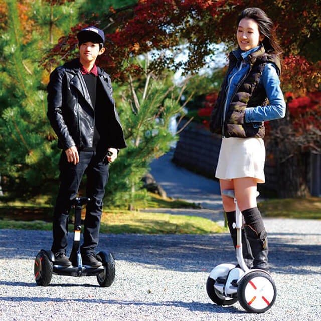 Segway Ninebot S-Pro ナインボットエスプロ By Segway セグウェイ