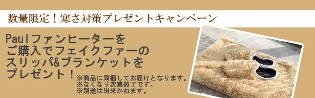 Paulファンヒーターポールファンヒーター スタドラーフォーム リモコン