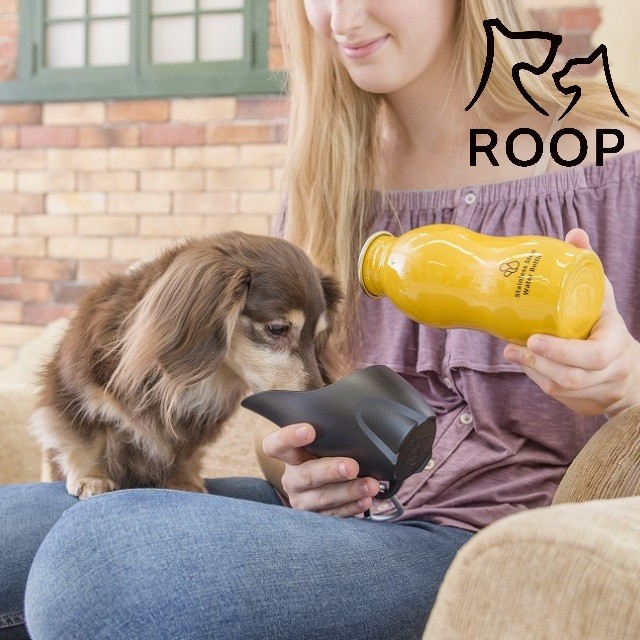 ペット用水筒 ステンレスボトル 犬用 散歩用水筒 おしゃれ エチケットウォーター 水分補給 犬 熱中症予防 脱水症状予防 ドッグ dog