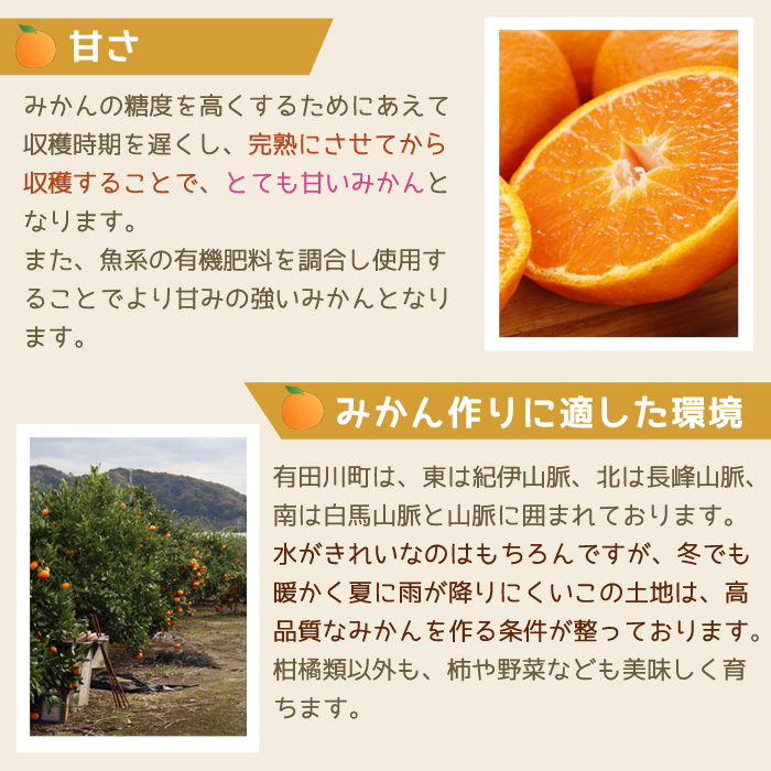 12月予約 和歌山 有田産 樹上完熟みかん 5kg~10kg 贈答用 ミカン 蜜柑 温州 宮川早生 秀品 特撰品 産地直送 ※ ふるさと納税 ではありません |  | 09