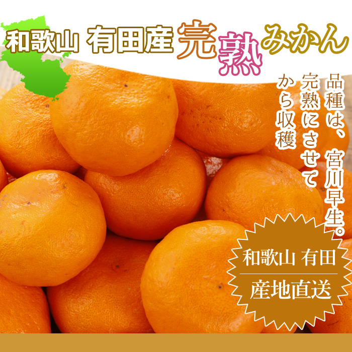 12月予約 和歌山 有田産 樹上完熟みかん 5kg~10kg 贈答用 ミカン 蜜柑 温州 宮川早生 秀品 特撰品 産地直送 ※ ふるさと納税 ではありません |  | 16