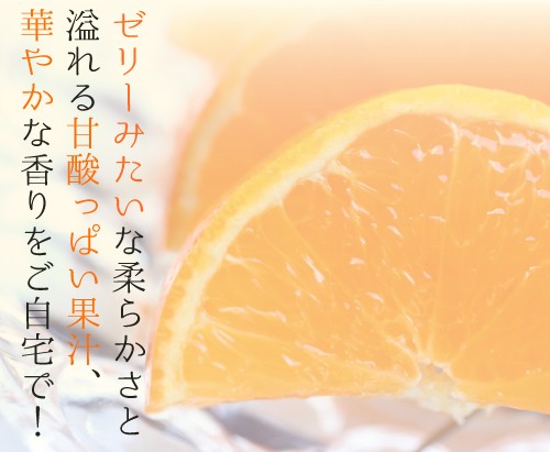 きたーーーー‼️数量限定‼️中島の甘平ちゃんと美味マドンナセット約5k6980円6 楽天市場】紅 ま どんな 甘 平の通販