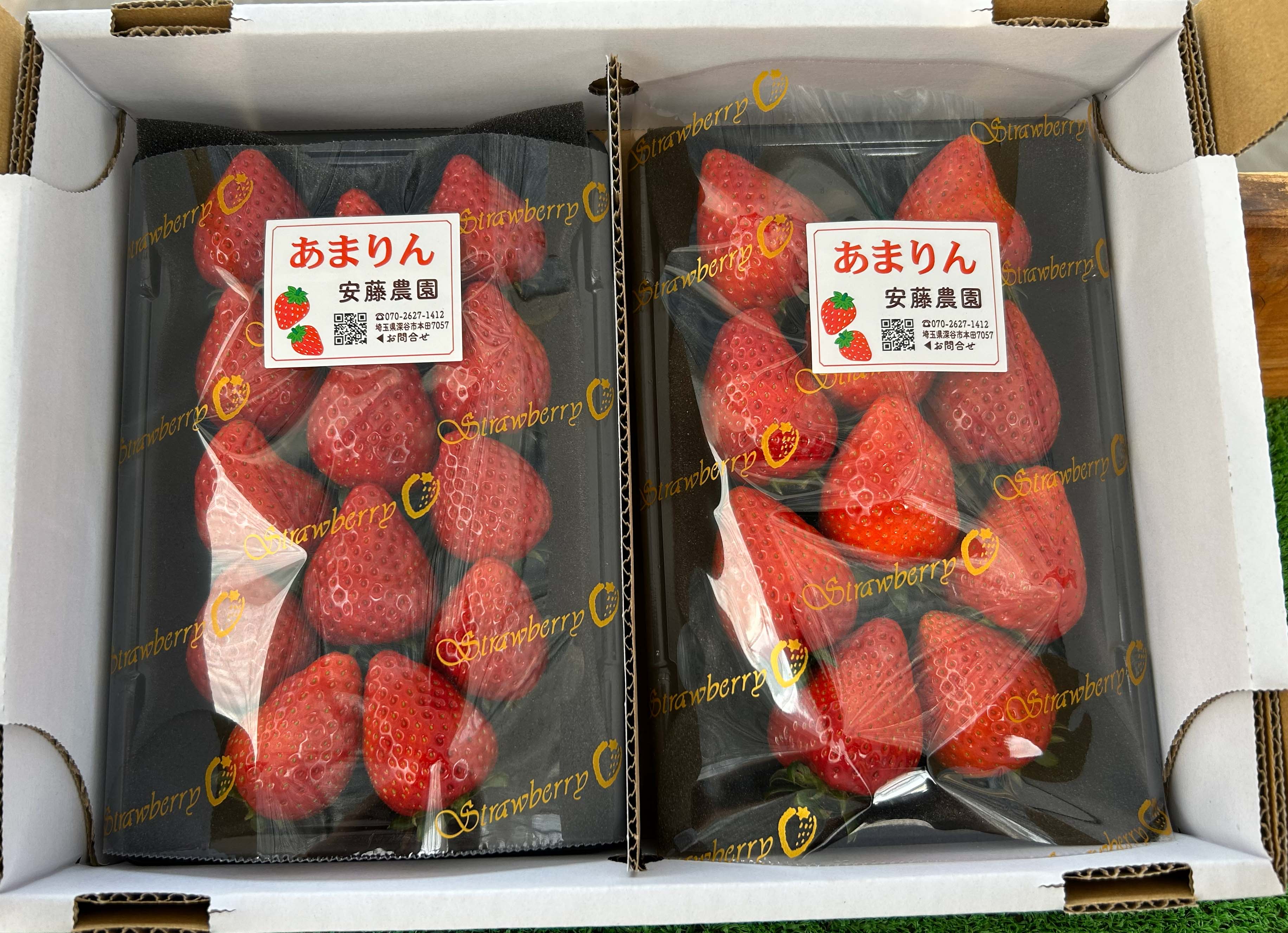 あきひめ いちごのおすすめ人気商品一覧 通販 - Yahoo!ショッピング