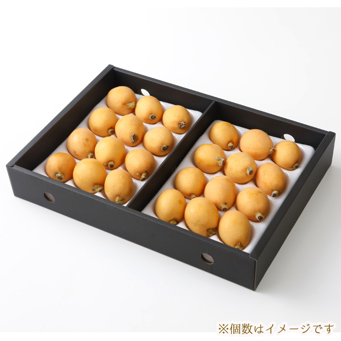 2027年5月分予約 減農薬 長崎産 茂木 びわ 約1kg 訳あり M〜Lサイズ 24