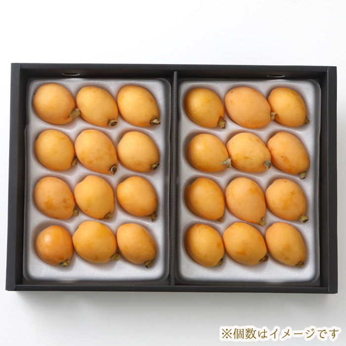 2027年5月分予約 減農薬 長崎産 茂木 びわ 約1kg 贈答用 M〜Lサイズ 24