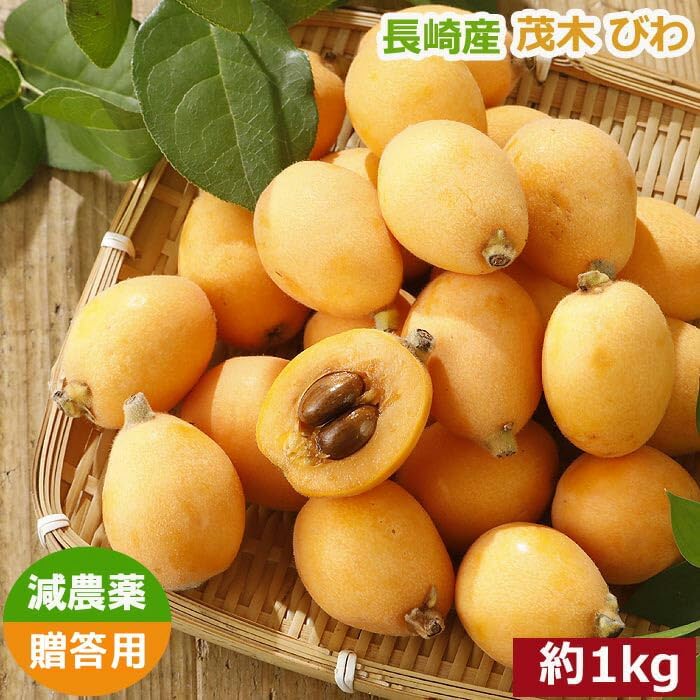 2027年5月分予約 減農薬 長崎産 茂木 びわ 約1kg 贈答用 M〜Lサイズ 24