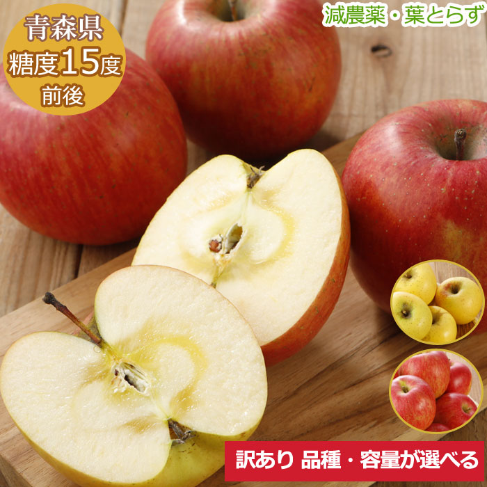 10月以降分予約【全額返金】糖度15度前後 減農薬 葉とらず 完熟 りんご