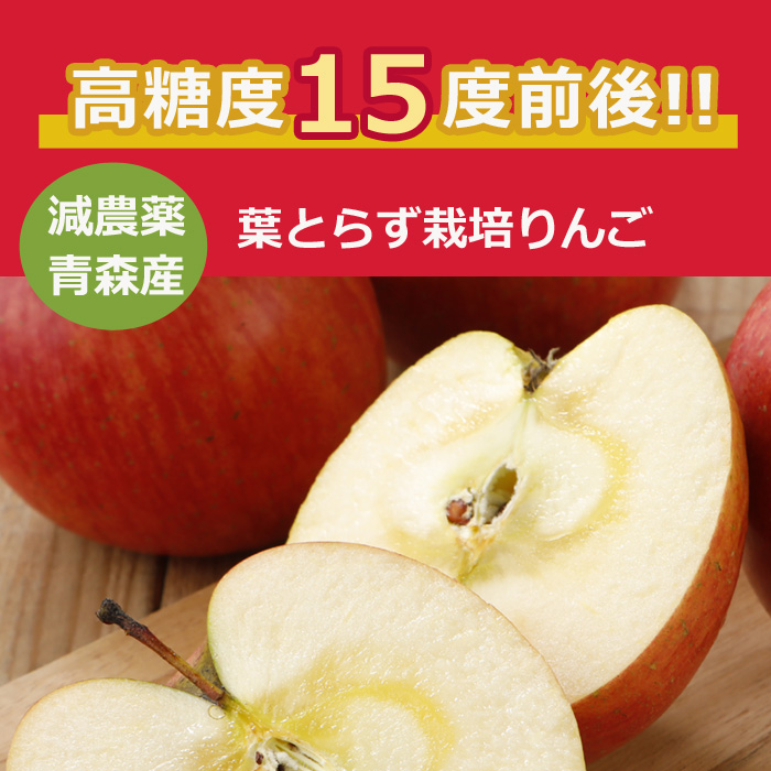 10月以降分予約【全額返金】糖度15度前後 減農薬 葉とらず 完熟 りんご