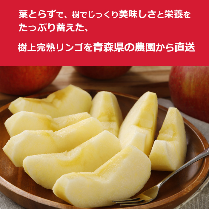 10月以降分予約【全額返金】糖度15度前後 減農薬 葉とらず 完熟 りんご