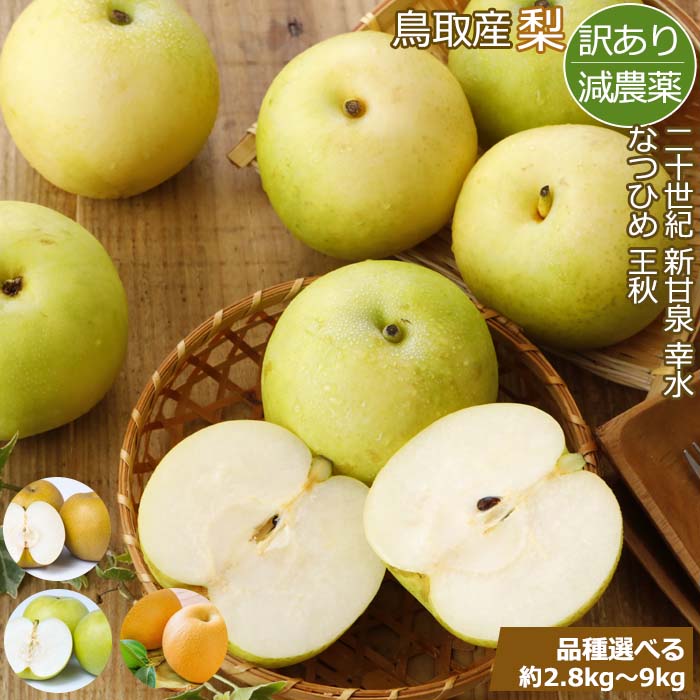 新甘泉」の人気商品一覧・価格比較 - 価格.com