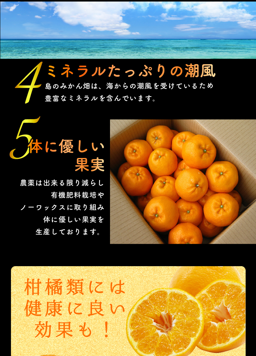 根本はるみのおすすめ人気商品一覧 通販 - Yahoo!ショッピング