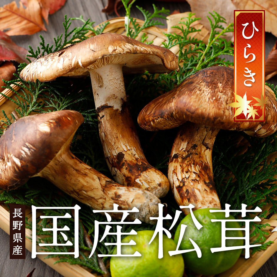 国産・長野県産天然松茸（ひらき）