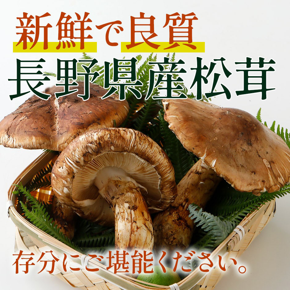 新鮮で良質な国産・長野県産天然松茸
