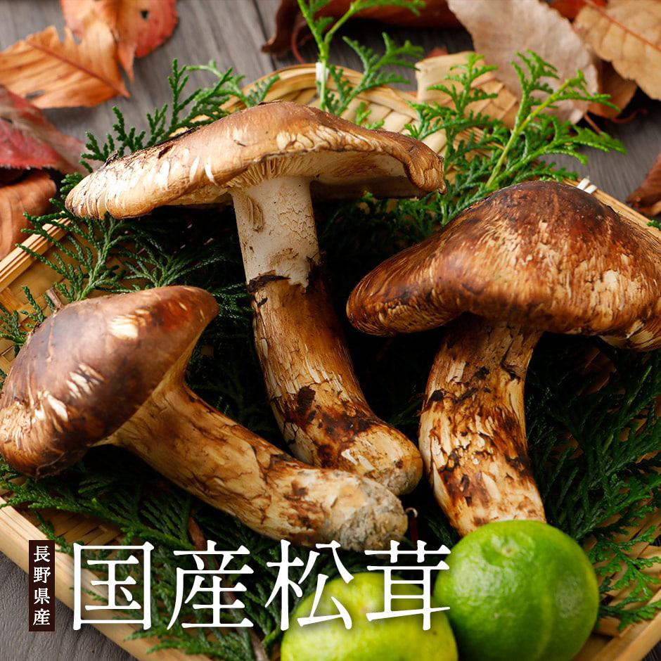 国産・長野県産天然松茸（ひらき）