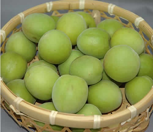 2026年6月分予約 和歌山産 南高梅 青梅 生梅 梅酒用 1kg 3L