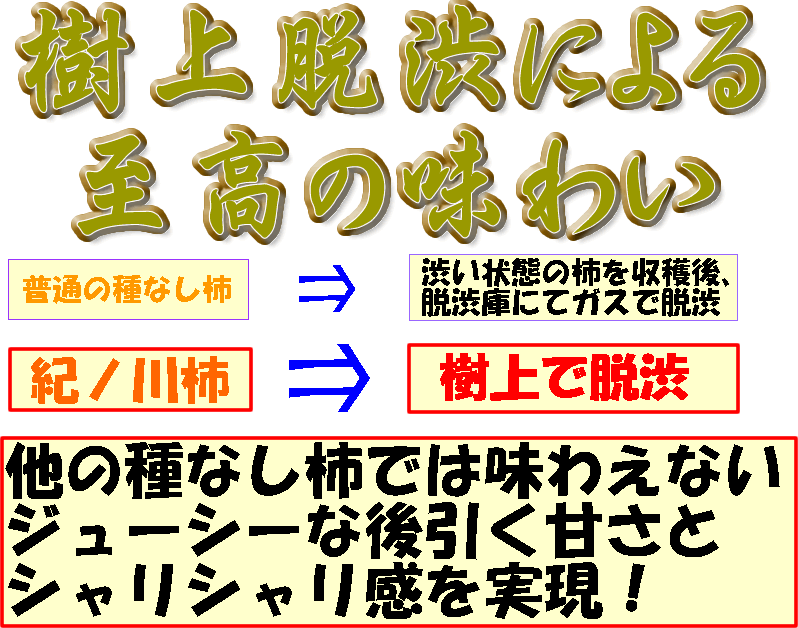 樹上脱渋栽培による至高の味わい  普通の種なし柿　⇒　渋い状態の柿を収穫後、脱渋庫にてガスで脱渋  紀ノ川柿　⇒　樹上で脱渋  他の種なし柿では味わえないジューシーな後引く甘さとシャリシャリ感を実現！