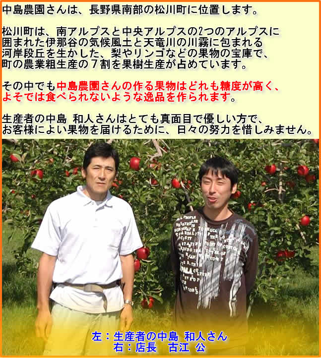 中島農園さんは、長野県南部の松川町に位置します。松川町は、南アルプスと中央アルプスの2つのアルプスに囲まれた伊那谷の気候風土と天竜川の川霧に包まれる河岸段丘を生かした、梨やリンゴなどの果物の宝庫で、町の農業粗生産の７割を果樹生産が占めています。その中でも中島農園さんの作る果物はどれも糖度が高く、よそでは食べられないような逸品を作られます。生産者の中島 和人さんはとても真面目で優しい方で、お客様によい果物を届けるために、日々の努力を惜しみません。左：生産者の中島 和人さん右：店長 古江 公