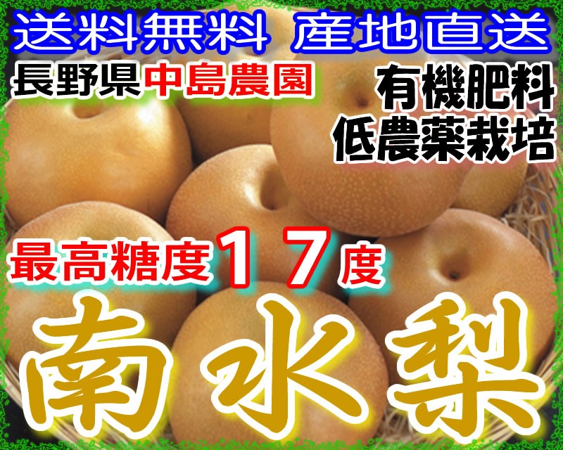 送料無料 産地直送有機肥料 低農薬栽培最高糖度１７度長野県 中島農園南水梨
