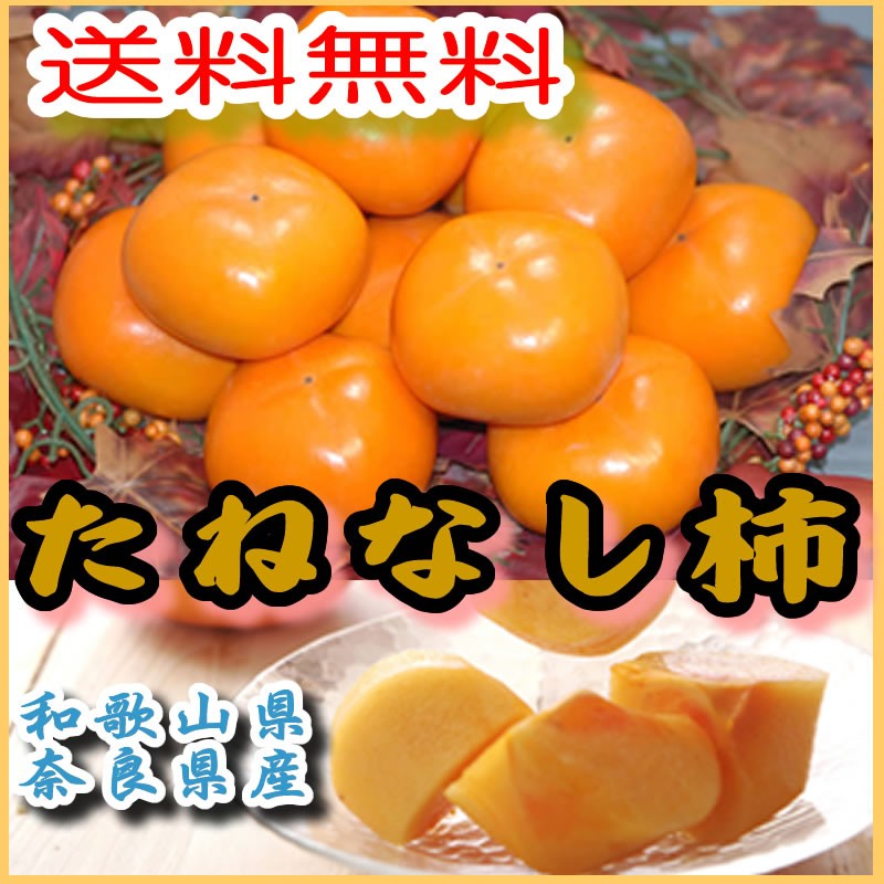 和歌山県産　柿　種無し　10kg 甘い　訳あり