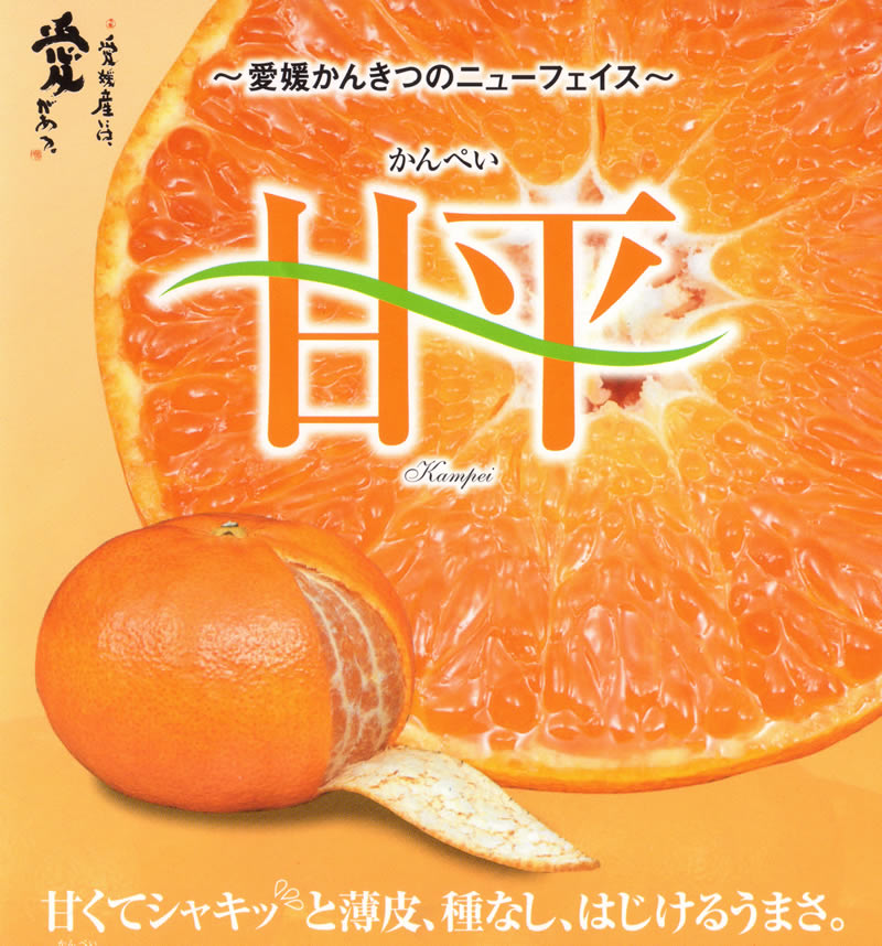 愛媛県産 甘平 約2.7kg8~15個 化粧箱入 贈答用 * ふるさと納税 では