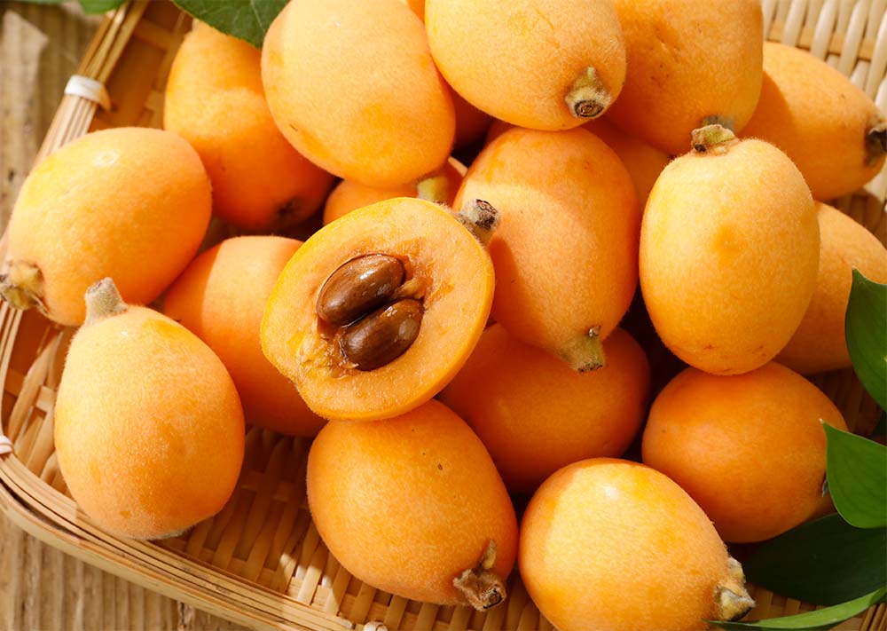 ���_�� �[�B �т� L �` 4L �T�C�Y 1kg �`5kg �� ��t�Y  ���f �r�� �I�n�͔| �Y�n����