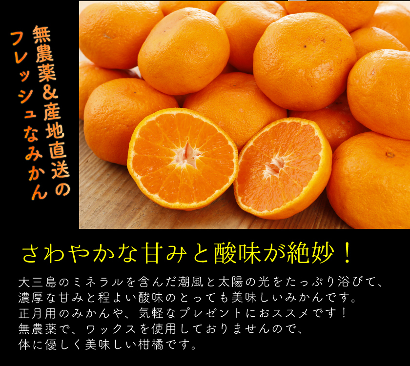 12月分予約 無農薬 みかん 訳あり 約 10kg 愛媛みかん ミカン 蜜柑